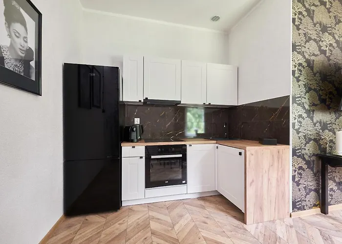 Art Apartment Grzmiąca